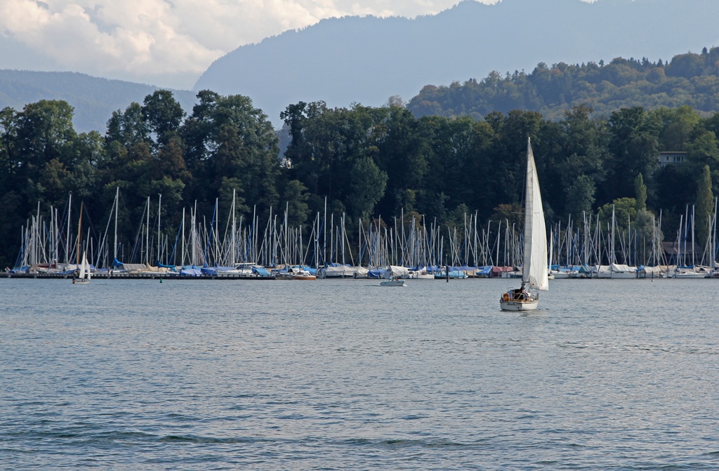 Marina Near Lucerne